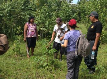 Interpretación con equipos portátiles en la selva, Puerto Maldonado